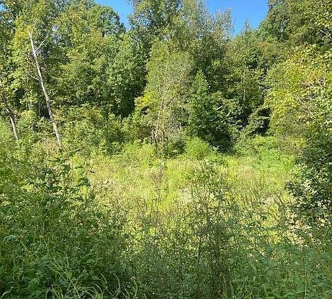 2nd image of 1 County Road 675