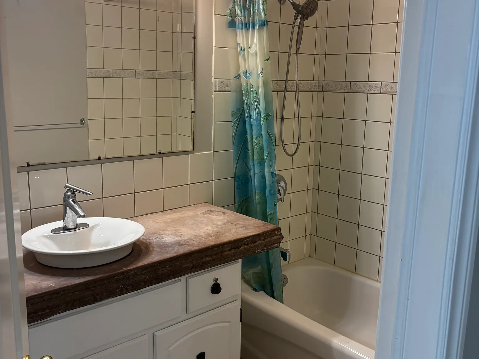 1 bed, 800 sqft, $1,350 — Photo 1