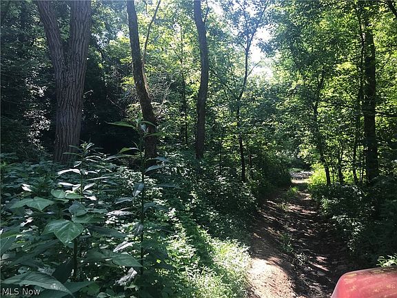 2nd image of Township Road 2156