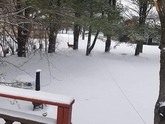 2nd image of 136 Country Club Dr E