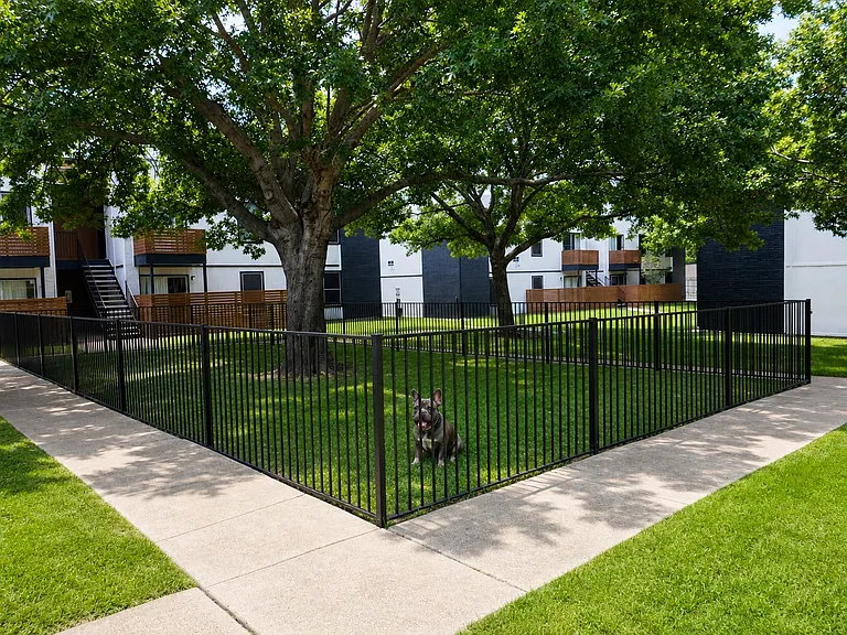 Dog park _ Fenced, shaded on-site dog park