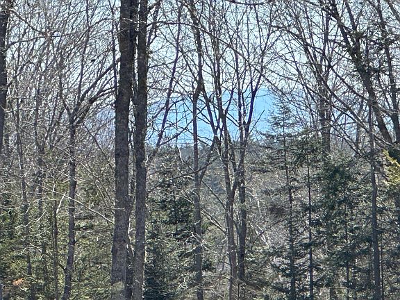 5th image of Lot #0 Morgan Bay Road