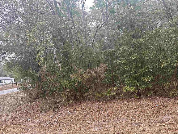 5th image of Xx Luther Hall Rd