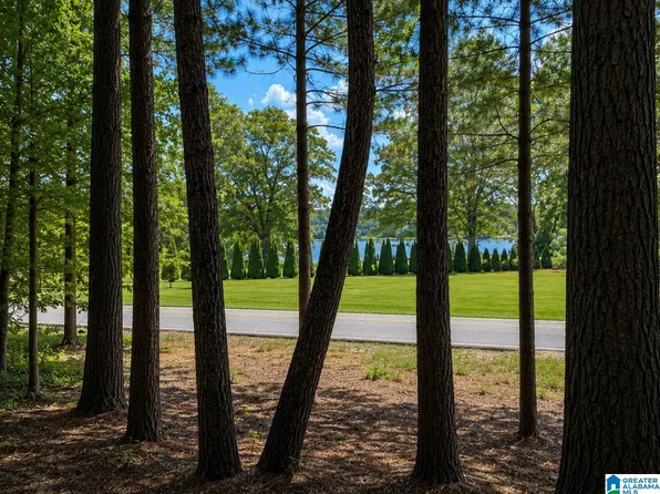 0 Stemley Rd Lot 1, Lincoln, AL 35096