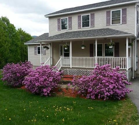 Beautiful Perrenials