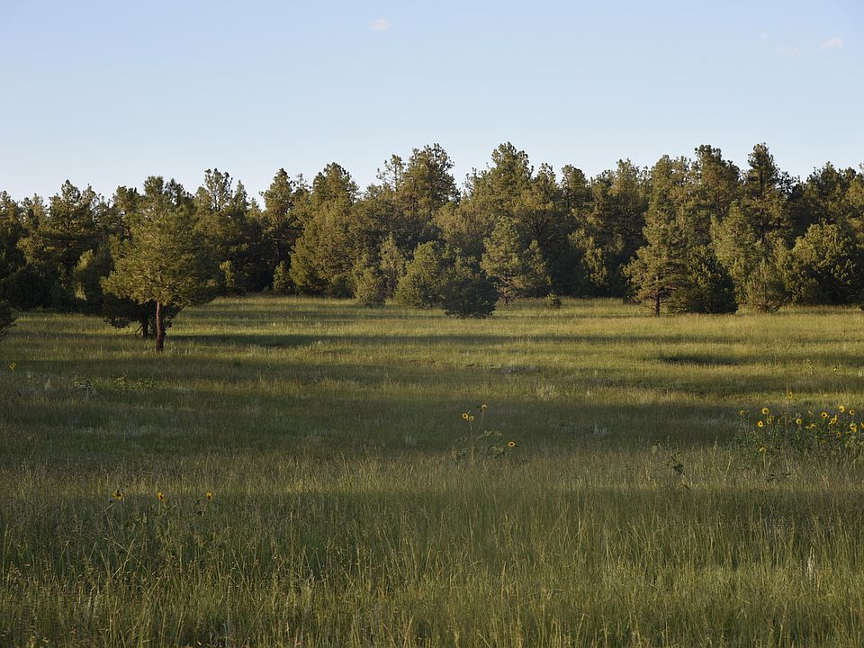 1st image of 21270 Spirit Mountain Dr Lot Filing 1/l