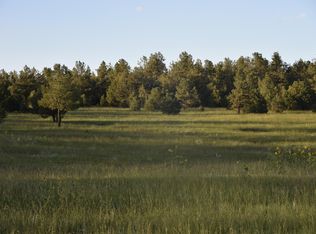21270 Spirit Mountain Dr LOT FILING 1/L, Aguilar, CO 81020