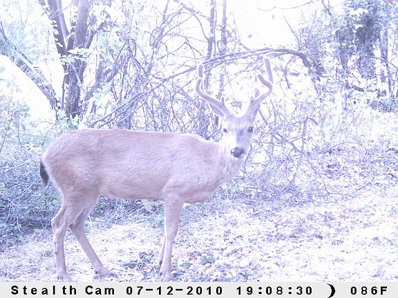 2nd image of 6461 Lazy Brook Trail