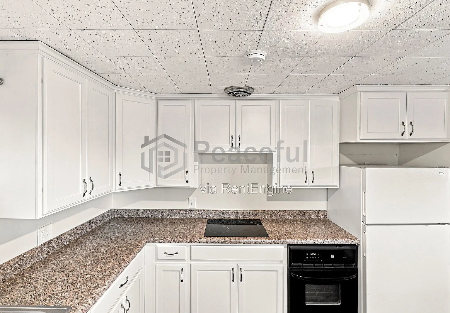 1 bed, 1.0 bath, 569 sqft, $1,225 — Photo 4