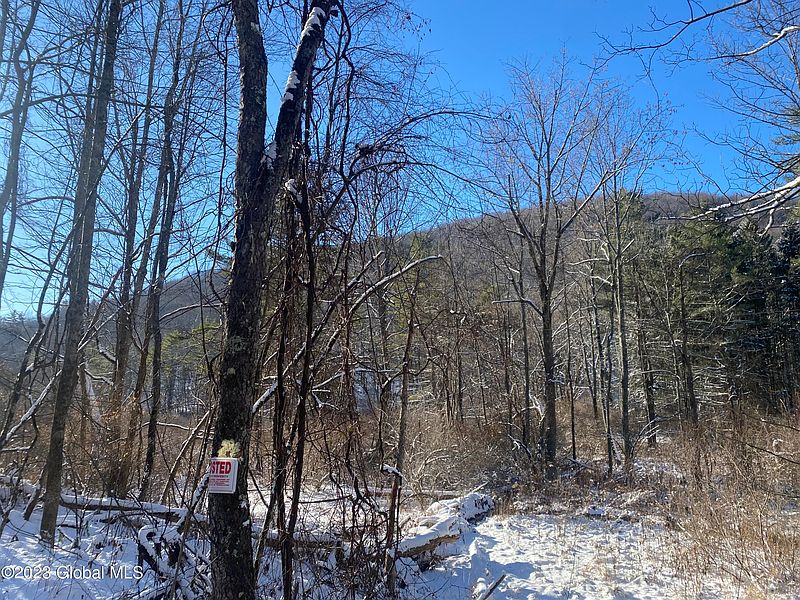 3rd image of 165 Shaker Hollow Road