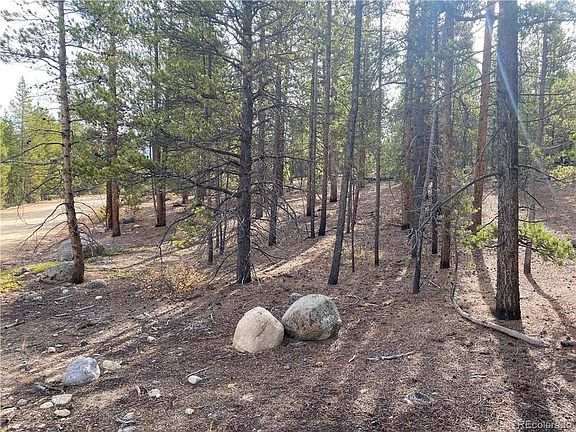 2nd image of 267 Birch Dr
