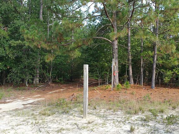 2nd image of 1341 James West Ln
