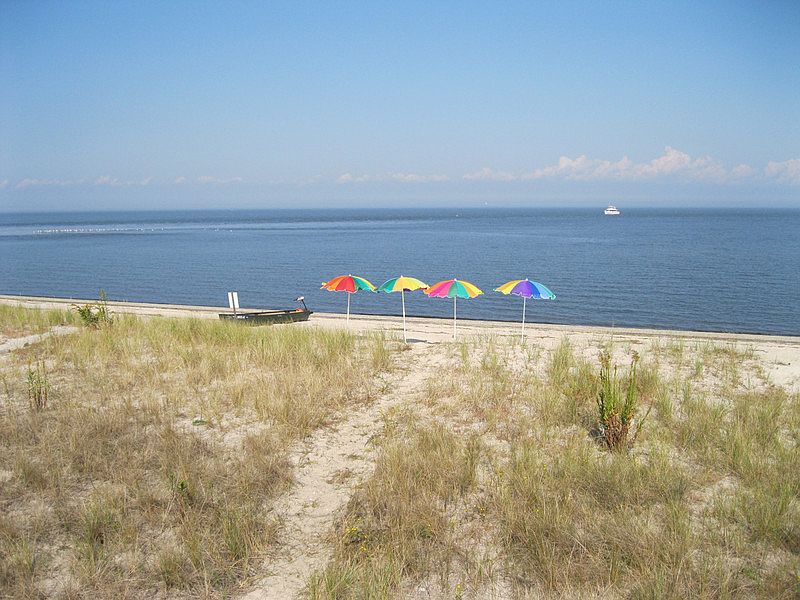 "South Bowers Island... The Quiet Life"