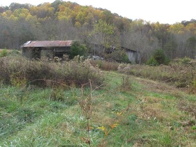 5194 Jones Cove Rd, Cosby, TN, 37722