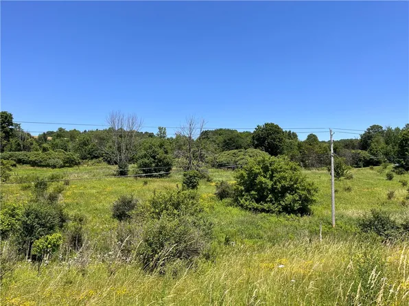 0 Yocum Rd #18, Wayland, NY 14572