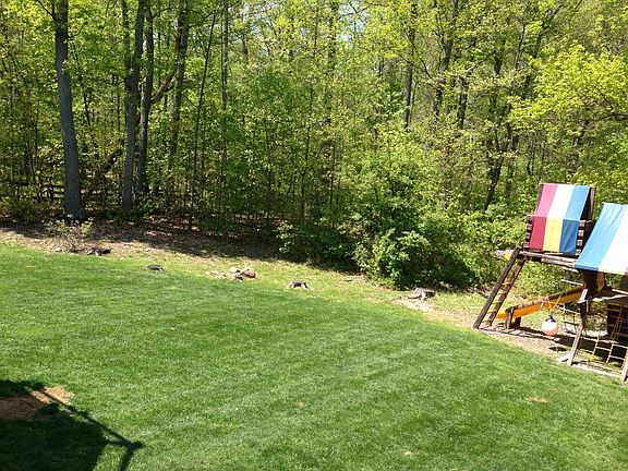 homesite backs to trees