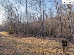 105B Beaver Dam Rd, Elk Park, NC 28622