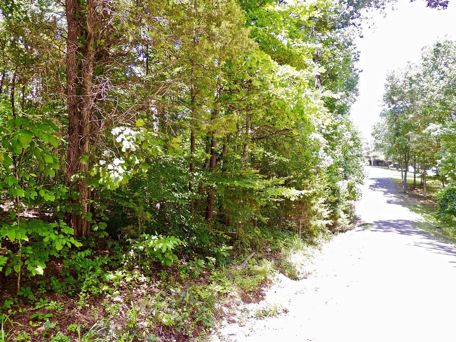 0-lee-ln-big-rock-tn-37023-zillow