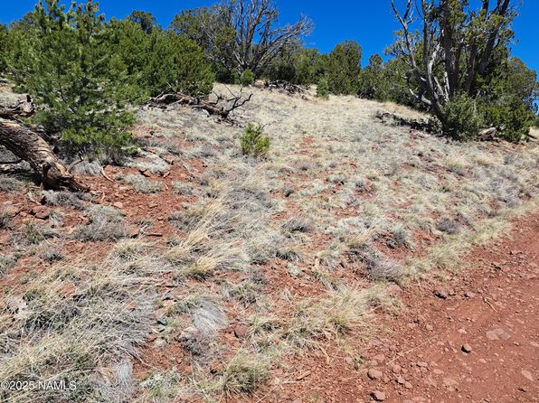 15 W Ascension Dr, Williams, AZ 86046