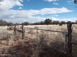 N 9234th, Concho, AZ 85924
