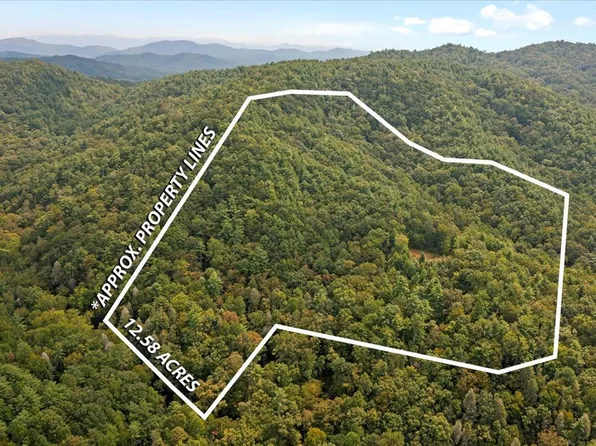 0 Grassy Mountain Rd, Chatsworth, GA 30705