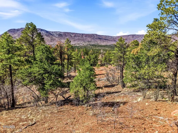 County Road N2278, Nutrioso, AZ 85932