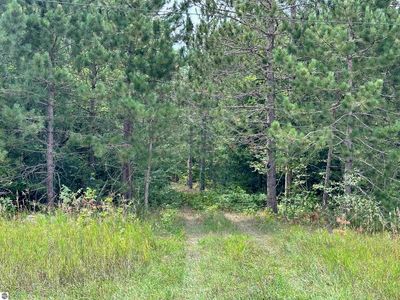 7658 Cedar River Rd, Mancelona, MI, 49659