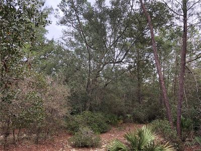 County Road 315, Keystone Heights, FL, 32656