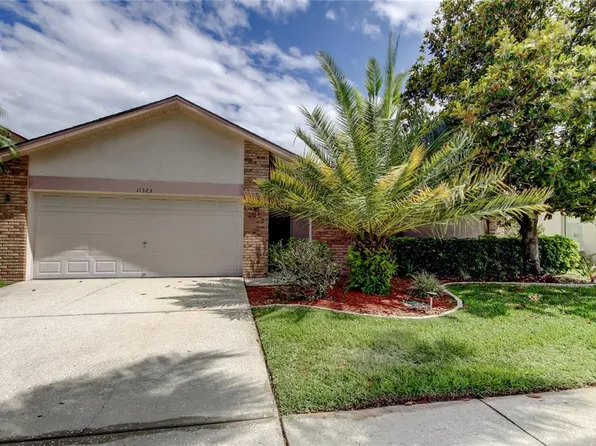 11325 Glenmont Dr, Tampa, FL 33635