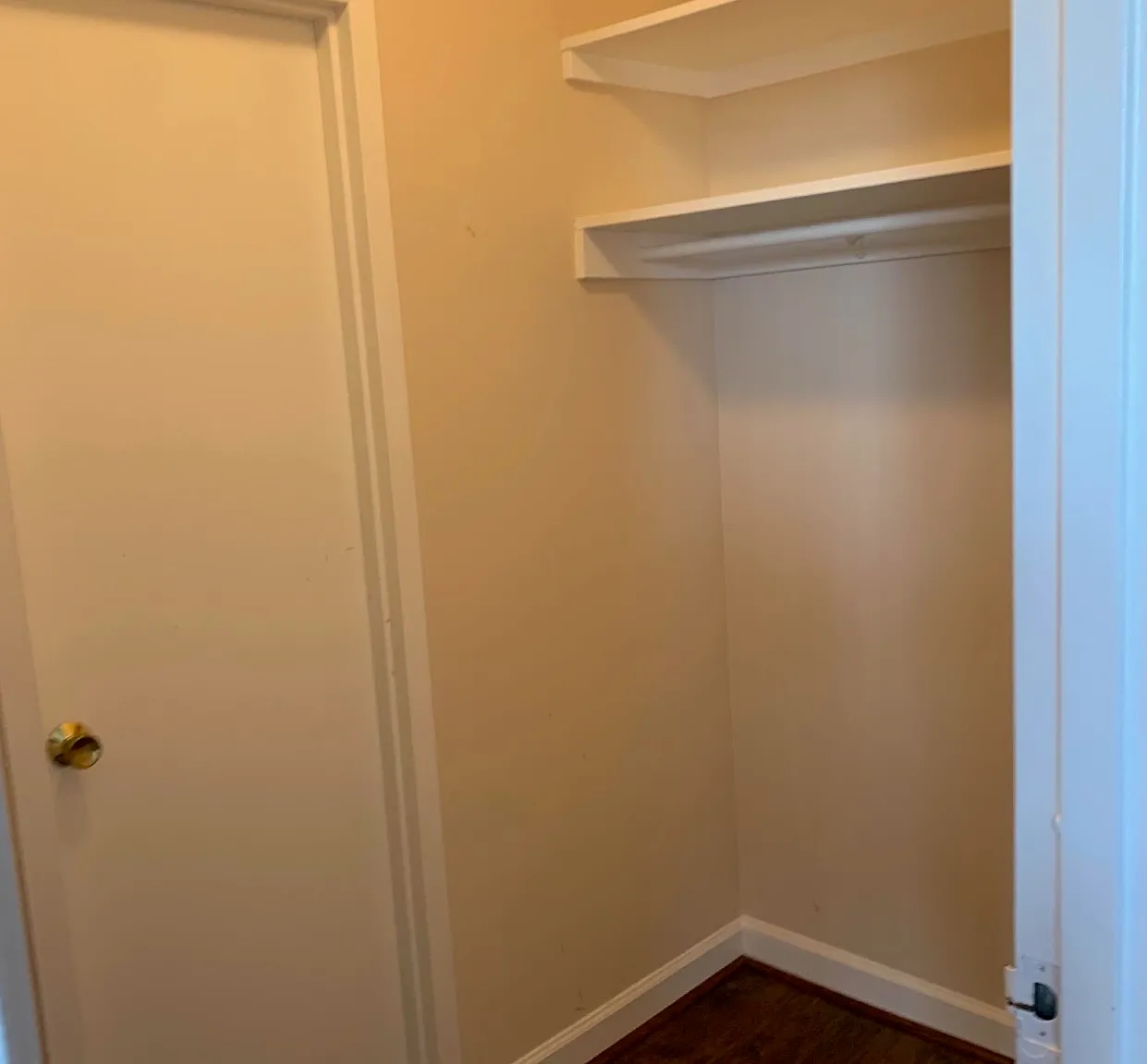 Studio, 378 sqft, $1,600 — Photo 2