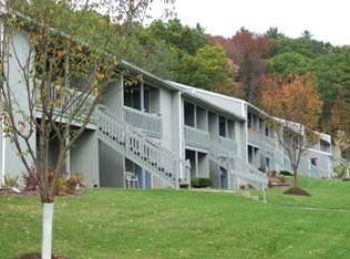 207 Bornt Hill Rd, Endicott, NY 13760