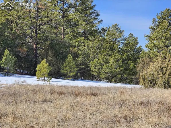 1549 Owens Ln, Cotopaxi, CO 81223