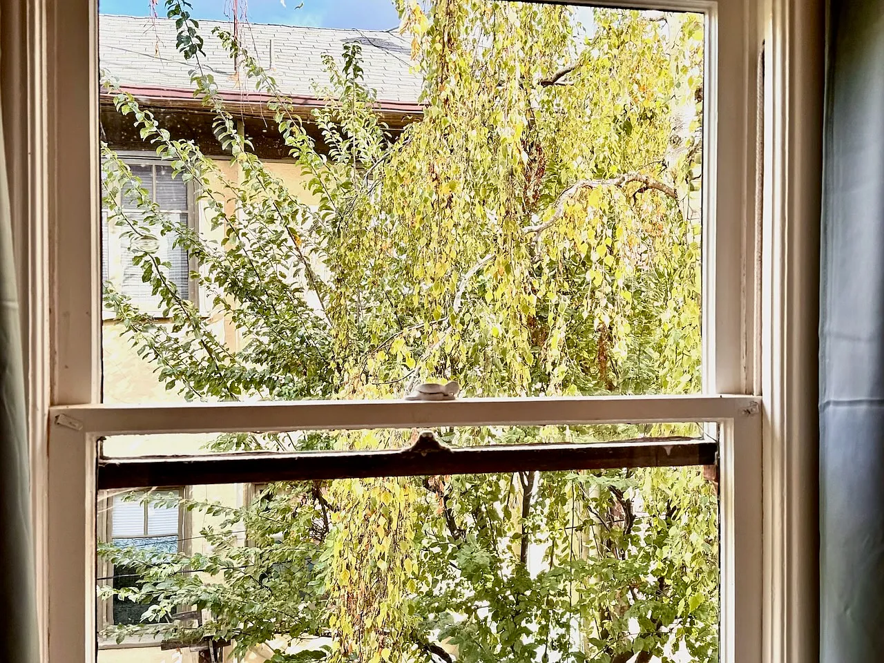 View from rental bedroom