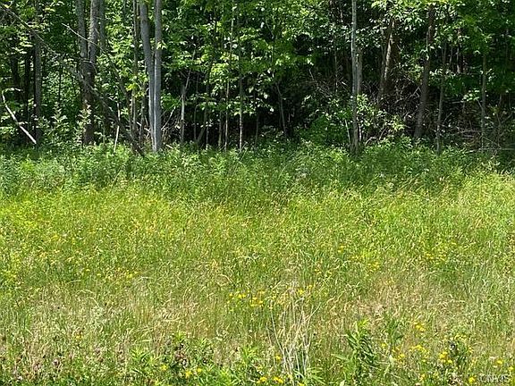 5th image of 6656 Doe Dr