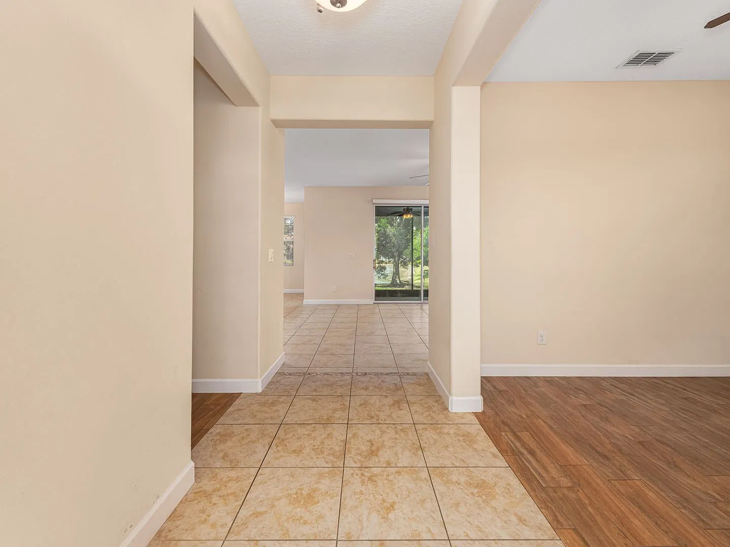 Live Oak — Photo 2