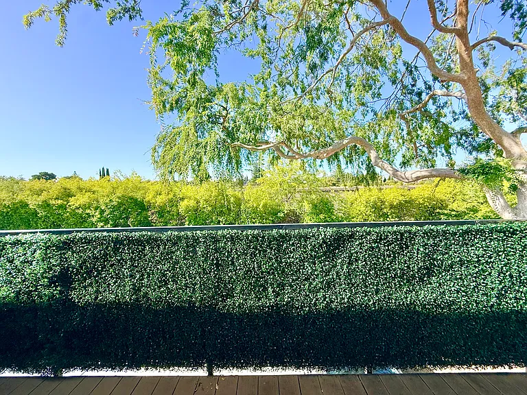 Tranquil tree-lined views from the front door