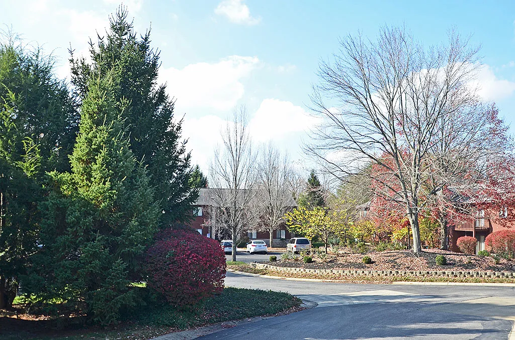 Woodington Management — Photo 1