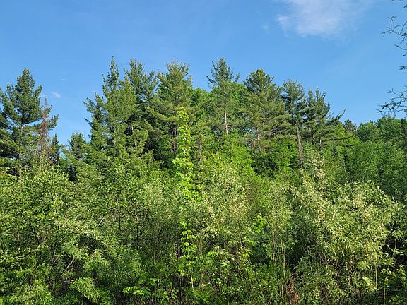 4th image of Doland Rd #28ACRES