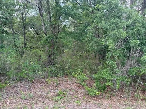 21902 NE 69th Pl Lot 42, Melrose, FL 32666