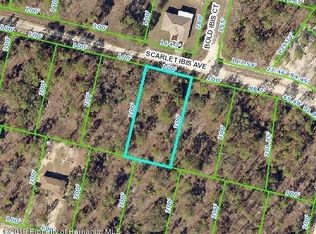 Scarlet Ibis Ave, Weeki wachee, FL 34614