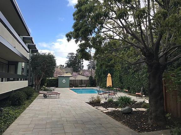 Pool and garden area