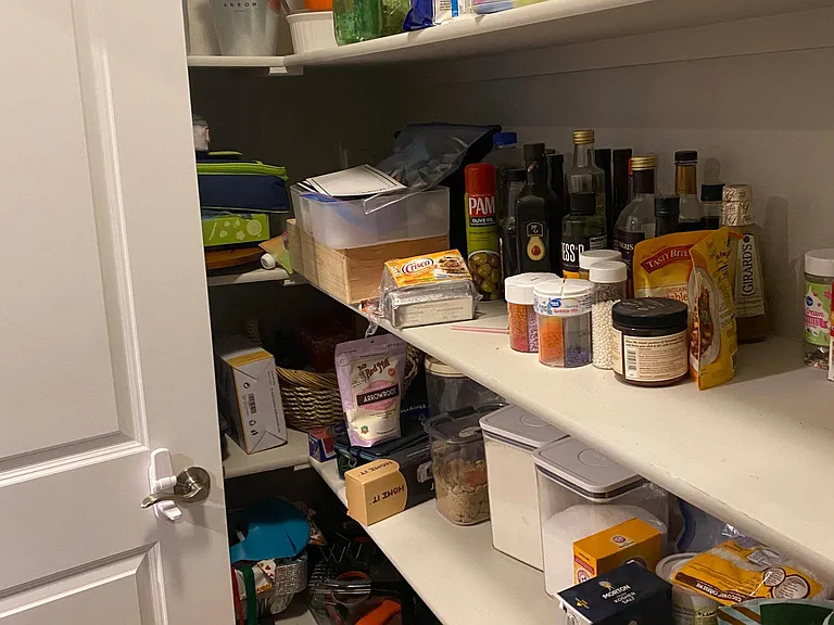 Giant walk-in pantry (more storage behind the door)