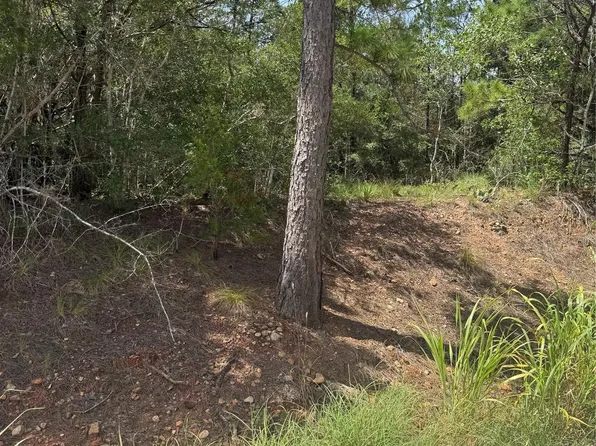 LOT 1252 Tba Hanauma Dr, Bastrop, TX 78602