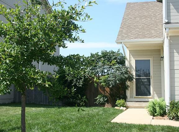 3rd image of 1230 S 5th St