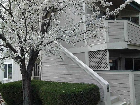 2nd image of 2641 Sunny Slope Dr APT 3