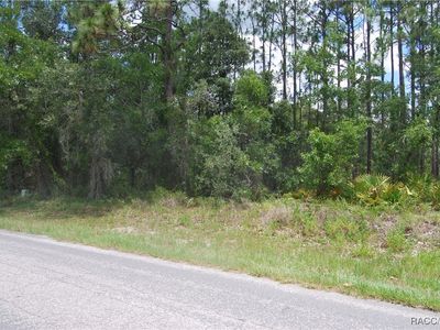 7 Sweetgum Ct N, Homosassa, FL, 34446
