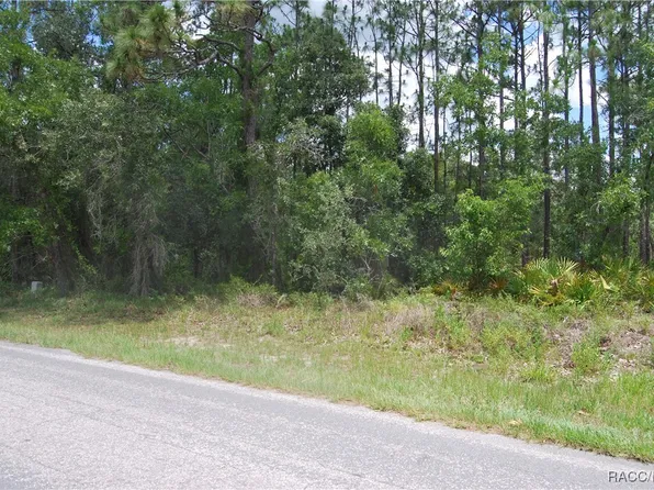 7 Sweetgum Ct N, Homosassa, FL 34446