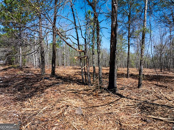 4th image of 10.51 Acres River Rd Lot 1