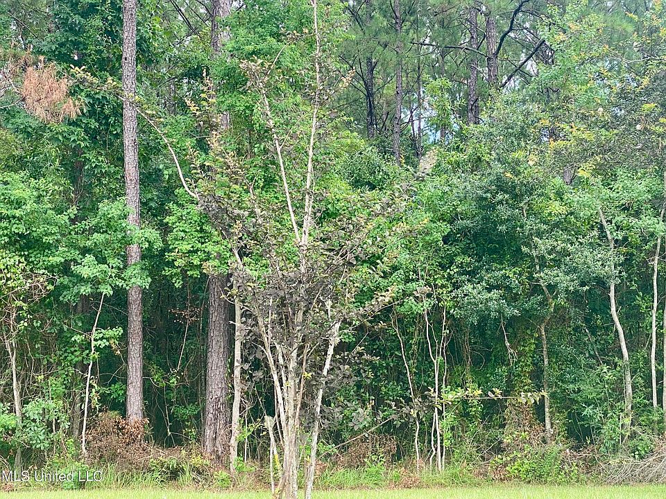 2nd image of 3185 Jackson Landing Rd