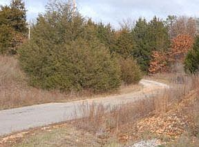 1st image of 285 Whitfield Ln